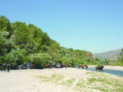 Cavalli e fuoristrada alla foce  del fiume